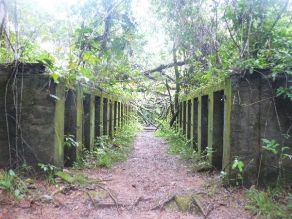 Mars 2006 : Les vestiges du camp de Crique Anguille, appelé aussi « bagne des Annamites », affecté aux détenus indochinois, sont aujourd’hui perdus au cœur de la forêt guyanaise. On distingue sur ce cliché des cellules de réclusion, bâties sur le modèle des cellules de l’île Saint-Joseph. © Thomas Sagnimorte 