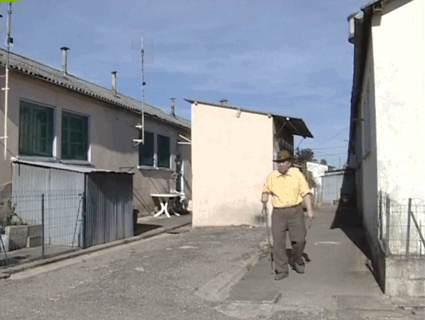 M. Lejeune se promène